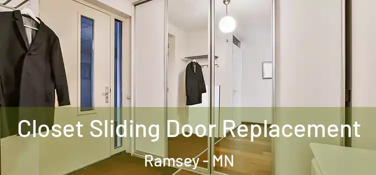  Closet Sliding Door Replacement Ramsey - MN
