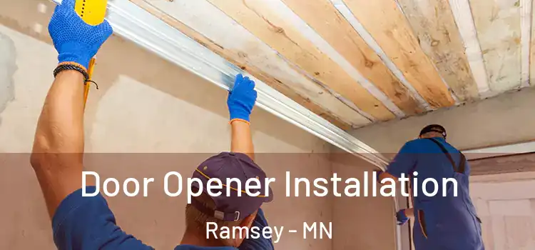 Door Opener Installation Ramsey - MN