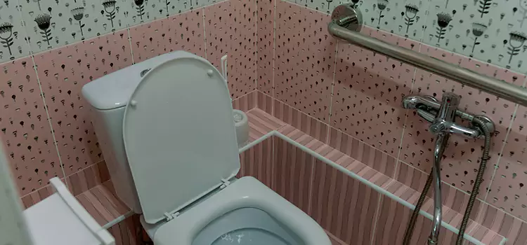 Meeting Diverse Needs With Accessible Restroom Solutions in Ramsey, MN