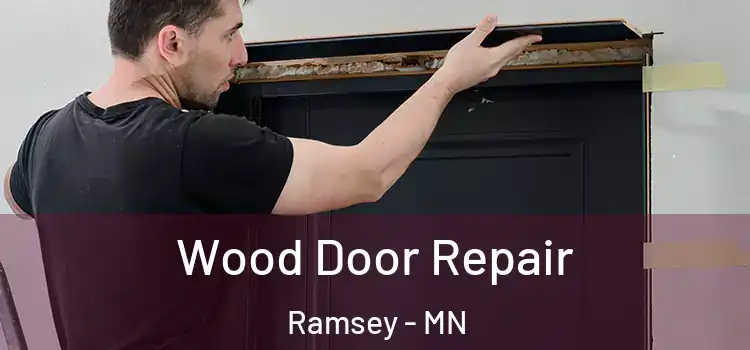  Wood Door Repair Ramsey - MN